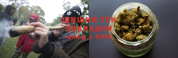 сатива Нягань