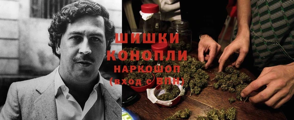 сатива Нягань