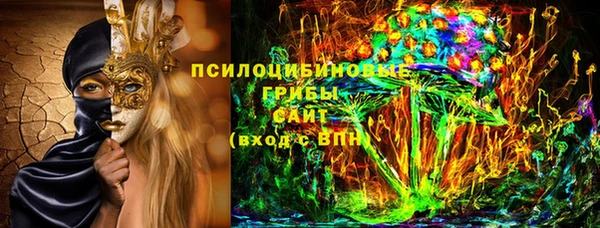 сатива Нягань