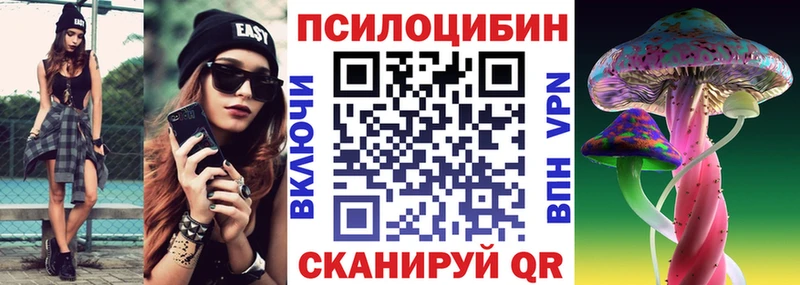 где купить наркотик  блэк спрут сайт  Псилоцибиновые грибы мухоморы  Ужур 